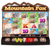 Vv7 Bet Login